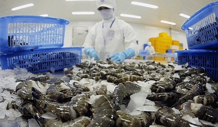 Dự báo xuất khẩu tôm sang Nhật Bản vẫn ổn định trong năm 2023