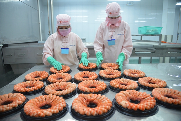 Tháng đầu năm, xuất khẩu tôm đạt 141 triệu USD