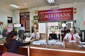 Các nhân tố tác động quyết định vay vốn của khách hàng cá nhân tại Ngân hàng Agribank - Chi nhánh Tân Bình, Thành phố Hồ Chí Minh