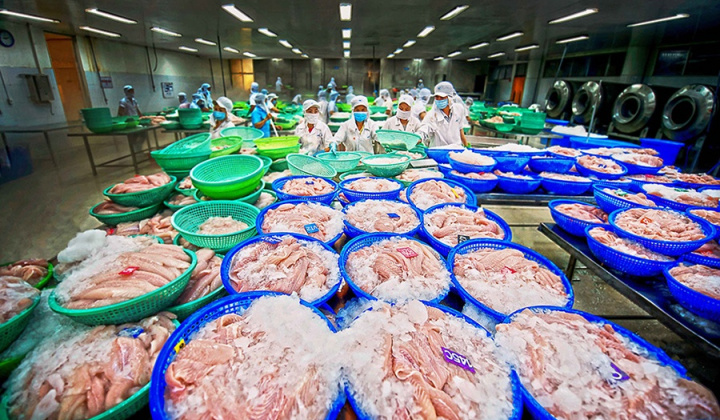 Năm 2023, xuất khẩu thủy sản sang Trung Quốc dự báo sẽ tăng chậm lại