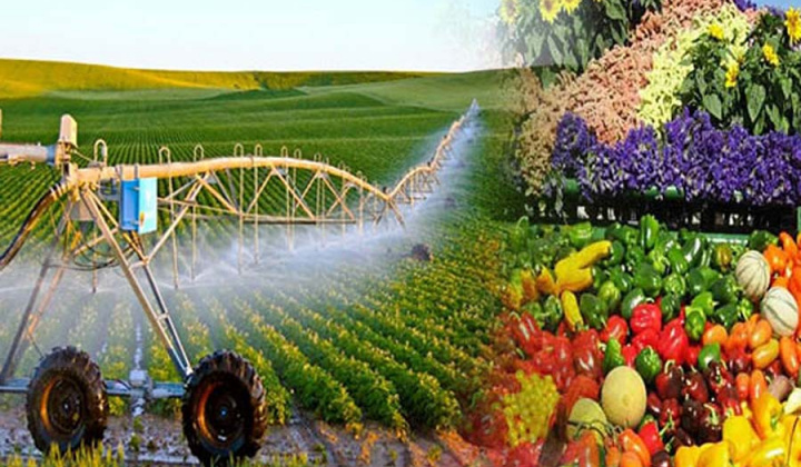 Na Uy tăng cường giám sát một số mặt hàng nhập khẩu
