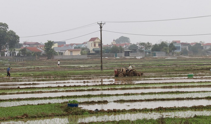 Xả nước đổ ải đúng kế hoạch, EVN tạo thuận lợi cho các địa phương lấy nước