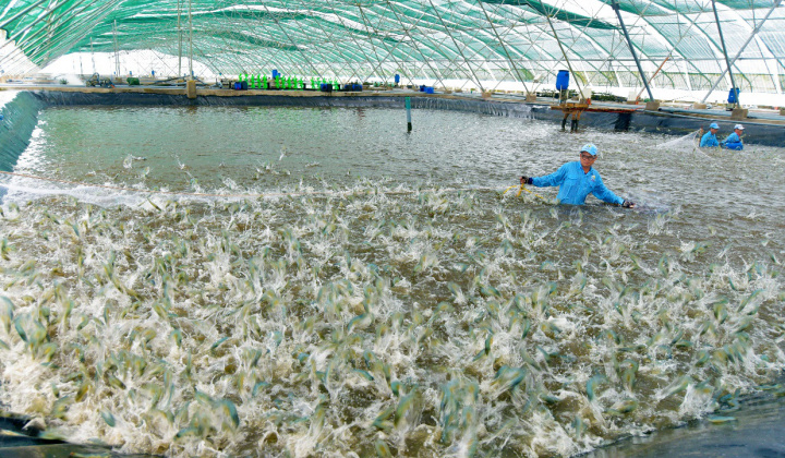 Sóc Trăng: Doanh nghiệp được giảm 30% thuế thuê đất, thuê mặt nước