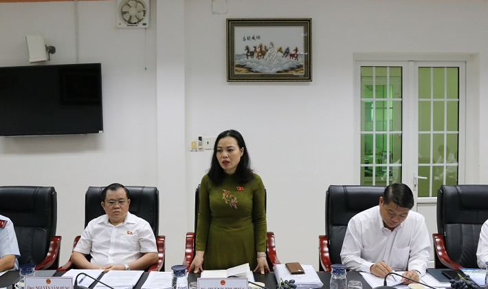 Đoàn ĐBQH tỉnh Bà Rịa - Vũng Tàu khảo sát việc thực hiện chính sách, pháp luật về phát triển năng lượng