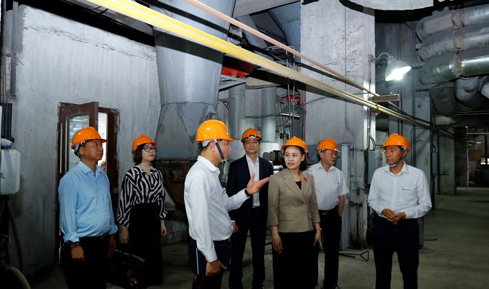 Đoàn Đại biểu quốc hội Ninh Bình giám sát về phát triển năng lượng tại Nhiệt điện Ninh Bình