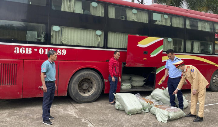 Quảng Ninh: Phát hiện gần 500kg lòng lợn sấy khô ẩm mốc, chảy nước bốc mùi hôi thối