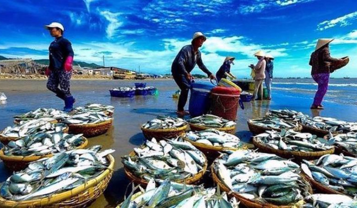 EU thay đổi mẫu Giấy chứng nhận kiểm dịch động vật dưới nước nhập khẩu