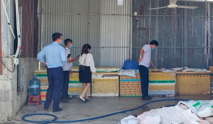 Báo động thực phẩm bẩn đang lưu hành trên thị trường