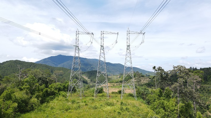 Truyền tải điện Lâm Đồng: Phát quang hơn 440.000 m2 hành lang an toàn lưới điện