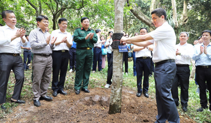 Công ty Supe Lâm Thao trồng 300 cây xanh tại Khu Di tích lịch sử K9 Đá Chông