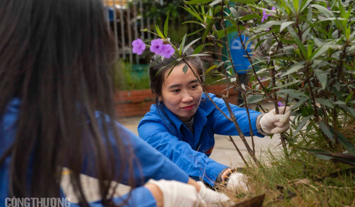 Chi đoàn Tạp chí Công Thương hưởng ứng phong trào xây dựng “Công sở văn minh, xanh - sạch - đẹp”