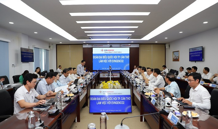 Đoàn Đại biểu Quốc hội thành phố Cần Thơ làm việc với EVNGENCO2