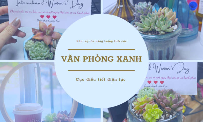 Cục Điều tiết điện lực: Văn phòng sáng - xanh - sạch, khơi nguồn năng lượng tích cực