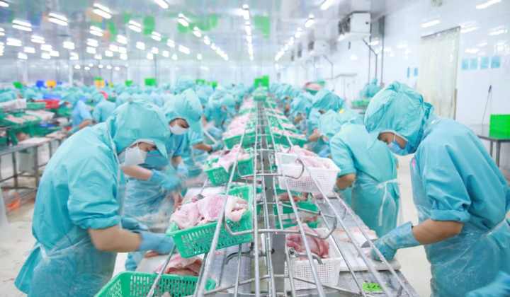 Tập đoàn Sao Mai (ASM): Dự kiến không chia cổ tức năm 2022, đặt mục tiêu lợi nhuận 2023 giảm 43%