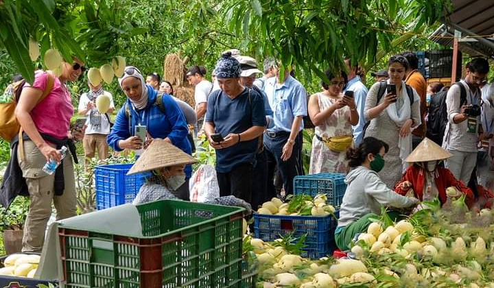 Sắp diễn ra Lễ hội Xoài Đồng Tháp năm 2023