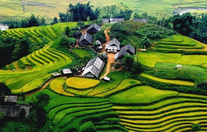 Phân bón Văn Điển: Cùng bà con phủ xanh vùng núi phía Bắc
