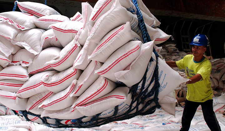 Fitch Solutions: Dự báo giá gạo sẽ neo cao đến năm 2024, thiếu hụt nguồn cung gạo ở mức nghiêm trọng nhất 20 năm qua