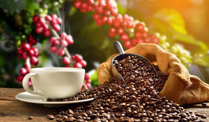 Giá cà phê ngày 22/4: Trong nước tăng nhẹ 100 đồng/kg, thế giới biến động trái chiều