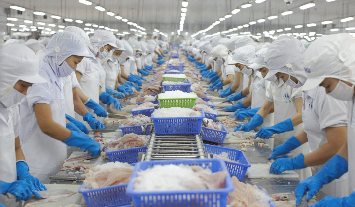 Vĩnh Hoàn (VHC): Sẽ phát hành 3,6 triệu cổ phiếu ESOP cho cán bộ, công nhân viên