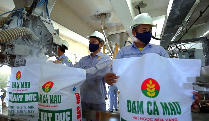 Đạm Cà Mau: Dự kiến chi cổ tức năm 2022 bằng tiền với tỷ lệ 30%, có thể triển khai dự án M&A trị giá 850 tỷ đồng