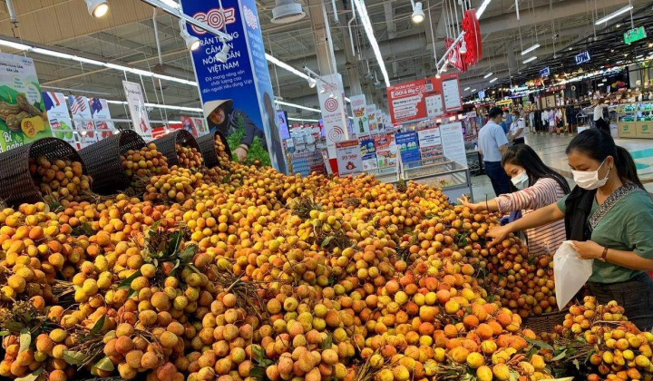 Hơn 300 tấn vải thiều Bắc Giang sẽ được tiêu thụ tại chuỗi của Central Retail