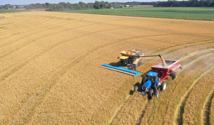 Trung Quốc đặt mục tiêu tăng cường tự chủ lương thực, giảm dần nhập khẩu ngũ cốc