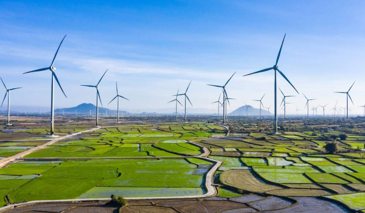 Tháo gỡ vướng mắc của các dự án điện gió, điện mặt trời chuyển tiếp