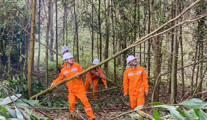 Bảo đảm hành lang an toàn lưới điện trên địa bàn tỉnh Thanh Hóa