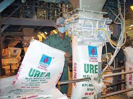 Giải pháp nâng cao năng lực tài chính cho Công ty Cổ phần Bao bì Đạm Phú Mỹ