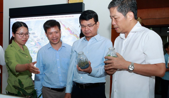 Cần nâng cao chất lượng, hiệu quả kinh tế rừng