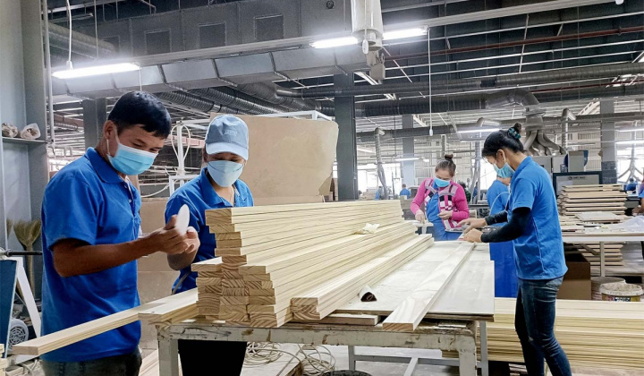 EU thông báo quy định mới đối với một số sản phẩm liên quan đến phá rừng và suy thoái rừng