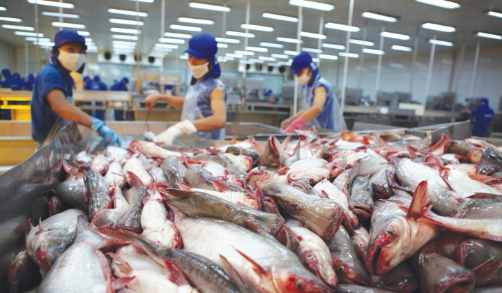 Khả năng cạnh tranh của thủy sản Việt Nam tại Vương quốc Anh