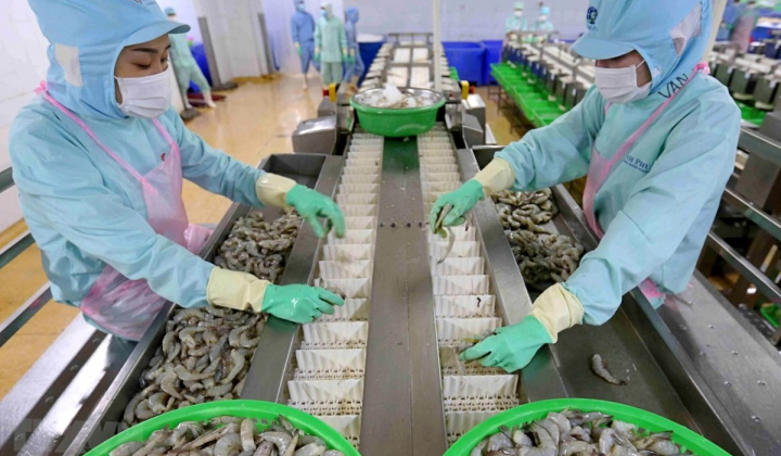 Thủy sản Minh Phú sẽ hợp tác với cơ quan nghiên cứu Chính phủ Úc xây dựng trung tâm nghiên cứu tôm