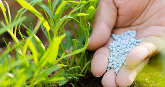 Vi phạm hành chính về phân bón bị phạt tới 200 triệu đồng