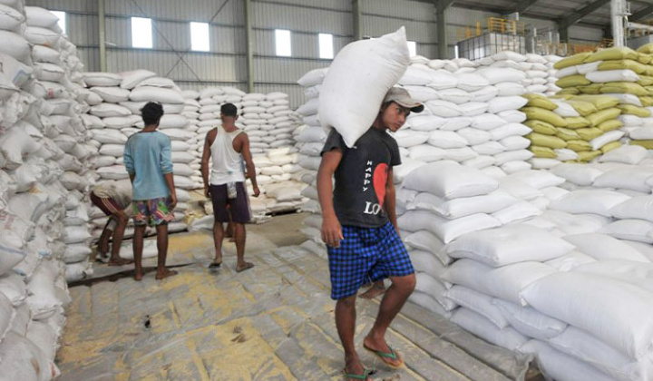 Xuất khẩu gạo Thái Lan tăng mạnh, dự kiến trình làng nhiều giống gạo mới trong năm sau