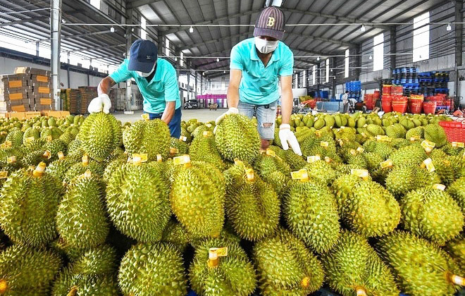 Nắm bắt các cơ hội mới tại thị trường truyền thống Trung Quốc