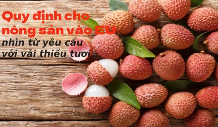 [E-magazine] Quy định cho nông sản vào EU, nhìn từ yêu cầu với vải thiều tươi