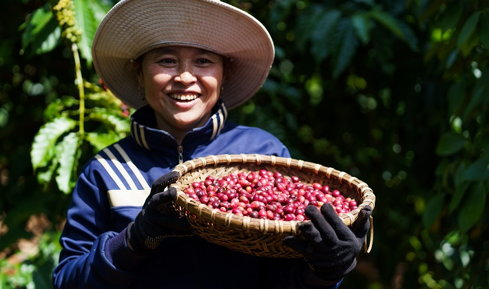Nestle thúc đẩy áp dụng mô hình nông nghiệp tái sinh, làm giải pháp phát triển bền vững