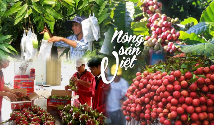 Bộ Công Thương: Đồng bộ giải pháp đẩy mạnh xuất khẩu nông sản chủ lực