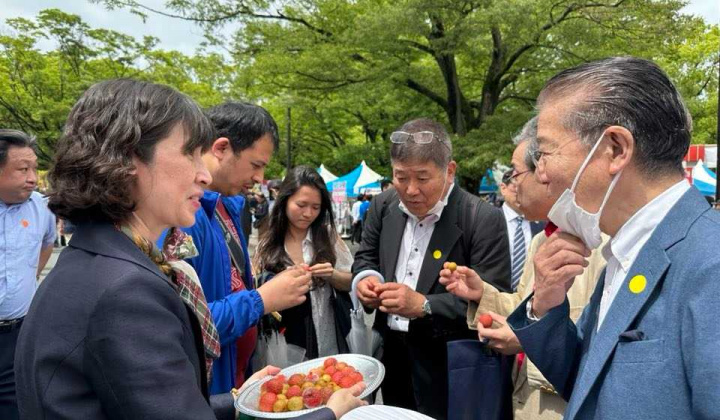 Những lô hàng vải thiều tươi sớm đầu tiên đã có mặt tại Lễ hội Việt Nam 2023 tại Nhật Bản