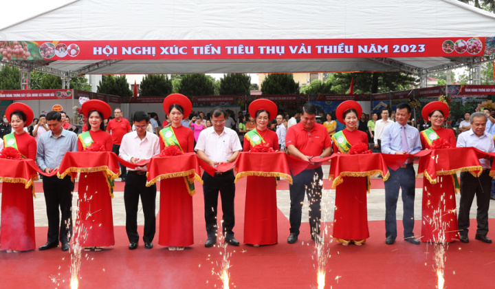 Vải thiều Bắc Giang chính thức lên kệ hệ thống siêu thị Central retail