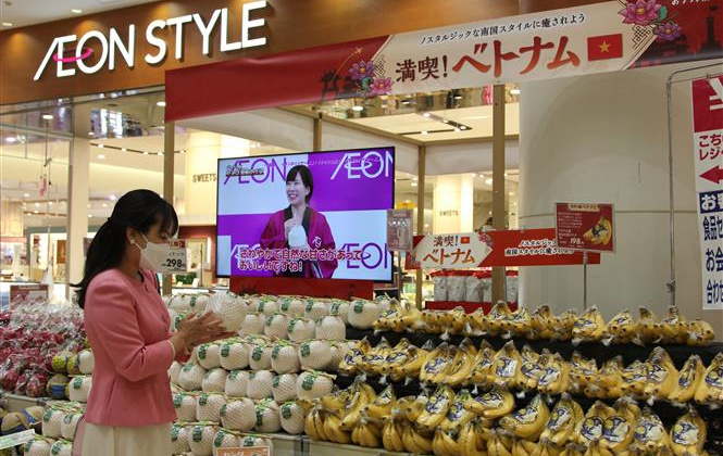 Xuất khẩu hàng Việt qua hệ thống phân phối AEON