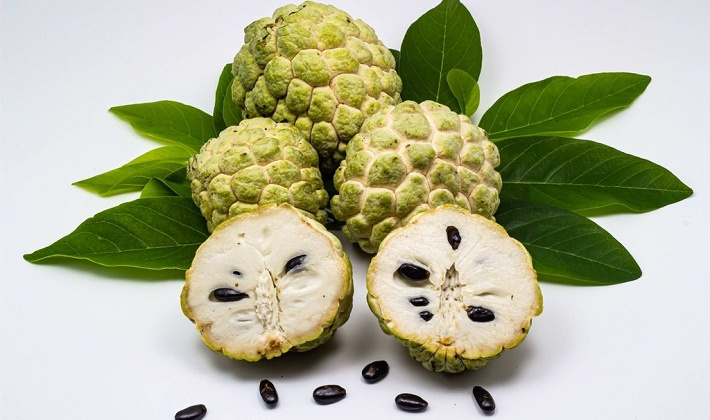 Những loại hạt trái cây có chứa chất cực độc