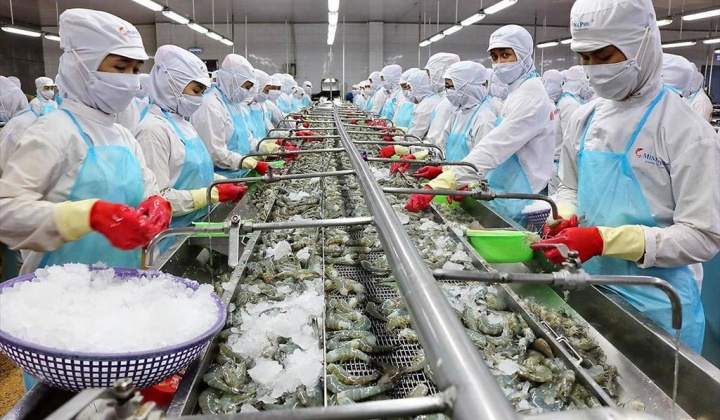 Xem xét, xử lý tháo gỡ khó khăn cho doanh nghiệp thủy sản