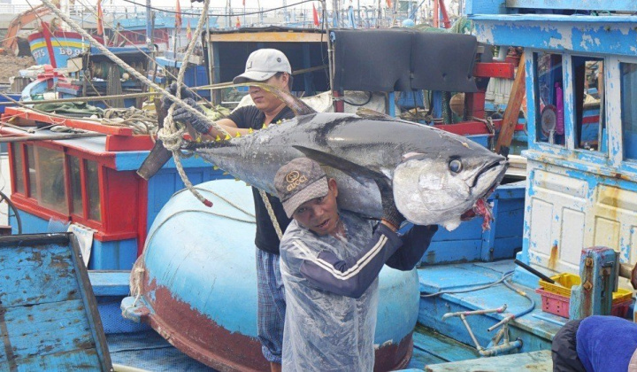 Triển khai gói tín dụng 15.000 tỷ đồng hỗ trợ doanh nghiệp ngành sản xuất, chế biến lâm, thủy sản