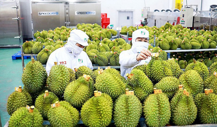 Cửa vào Trung Quốc đã mở, nông sản Việt chạy đua khai thác thị trường