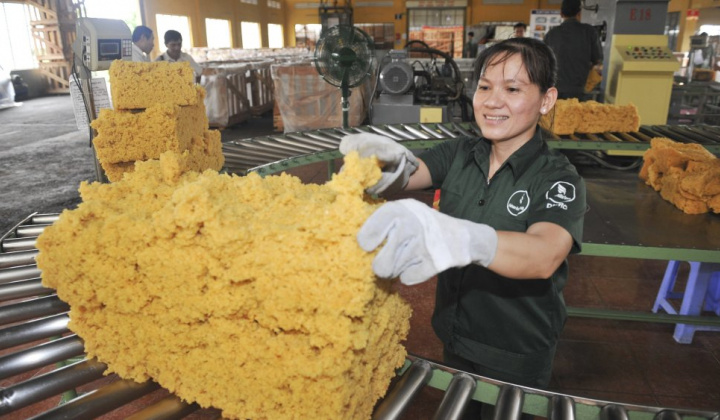 Cao su Đồng Phú (DRP): Tham vọng xoay trục sang kinh doanh bất động sản khu công nghiệp