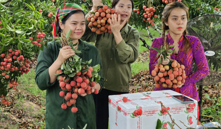 Nông sản trong giỏ hàng người trẻ