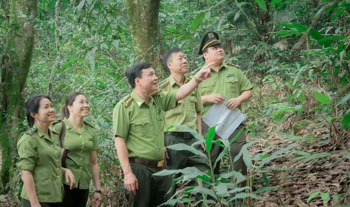 Kiểm lâm Thái Nguyên: Phát huy vai trò lực lượng nòng cốt trong công tác bảo vệ rừng