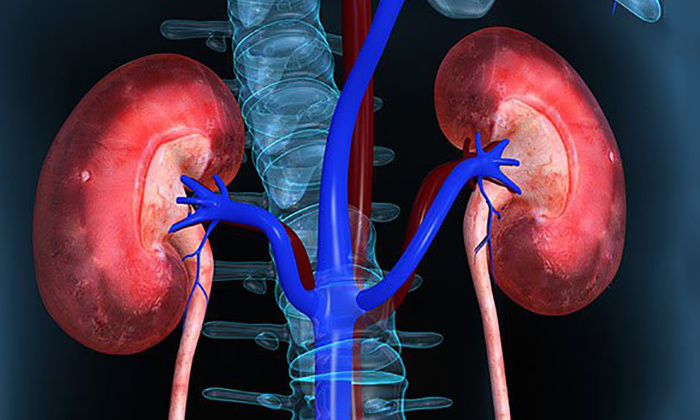 Tổn thương thận vì những thói quen hàng ngày